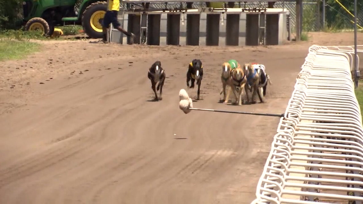 Final day of greyhound racing at Derby Lane